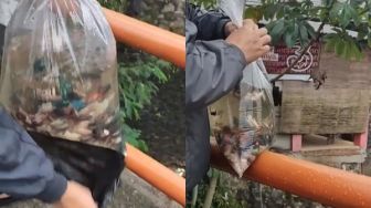 Viral Cowok Pamer Bebaskan Puluhan Ikan Cupang ke Alam, Tuai Kecaman Massal