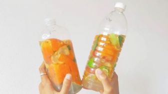 Eco-Enzyme, Hasil Pengolahan Limbah Organik Yang Banyak Manfaat!