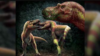 Punya Tangan Pendek, Ilmuwan Ungkap Cara T-rex Berkelahi