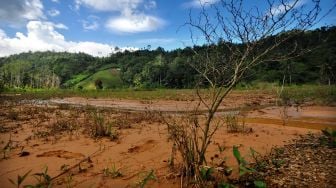 Sejumlah tanaman rusak tertimbun lumpur di lahan pertanian warga di Desa Kanaan, Bolaang Mongondow, Sulawesi Utara, Jumat (10/92021). ANTARA FOTO/Adwit B Pramono
