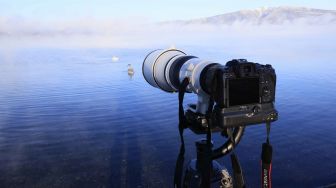 Canon Rilis Dua Lensa Telefoto Kelas Premium untuk Kamera Mirrorless