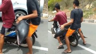 Miris! Viral Video Pemuda Bawa Lumba-lumba Boncengan Naik Motor, Tuai Hujatan Massal