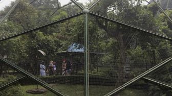 Pengunjung melihat koleksi burung di Taman Burung, Taman Mini Indonesia Indah (TMII), Jakarta, Minggu (12/9/2021). [Suara.com/Angga Budhiyanto]