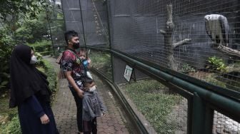 Pengunjung melihat koleksi burung di Taman Burung, Taman Mini Indonesia Indah (TMII), Jakarta, Minggu (12/9/2021). [Suara.com/Angga Budhiyanto]