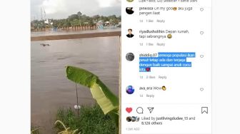 Viral Penampakan Kawanan Pesut di Perairan Kota Bangun, Warganet: Long Live!