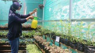 Dukung Gerakan Urban Farming, PTPII Berikan Pelatihan Kepada Warga di Kota Semarang