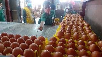 Polisi Bubarkan Aksi Peternak Ayam Membagikan Telur Gratis di Blitar