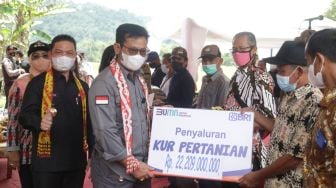 Ditopang KUR, Sektor Pertanian di Kalbar Semakin Berkibar