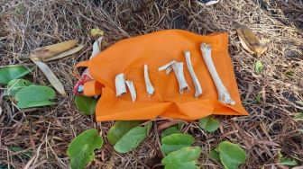 Tulang Belulang di Pantai Keramas Dikira Jasad Petani, Polisi Titipkan ke Sanjiwani
