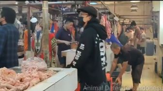 Heboh! Daging Anjing Dijual Pasar Senen