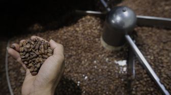 Pekerja menunjukkan biji kopi yang telah matang saat proses pemanggangan (roasting) di tempat produksi Dunia Kopi, Pasar Santa, Jakarta, Selasa (14/9/2021). [Suara.com/Angga Budhiyanto]