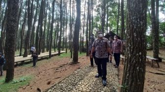 Uji Coba Pembukaan Hutan Pinussari Mangunan, Wabup Bantul Cerita Soal Wisatawan Kecele