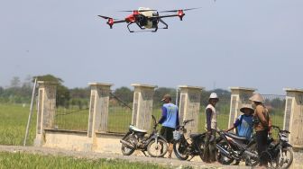 Petani melihat pesawat tanpa awak (Drone) yang digunakan untuk menyemprotkan cairan pestisida di areal sawah desa Krangkeng, Kecamatan Krangkeng, Indramayu, Jawa Barat, Kamis (16/9/2021). ANTARA FOTO/Dedhez Anggara
