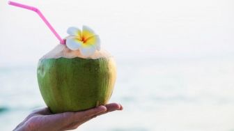 Air Kelapa Bermanfaat untuk Covid-19, tapi Disebut Bisa Netralisir Vaksin
