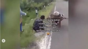 Memungut Beras yang Tercecer di Jalanan, Aksi Kakek Tua Ini Bikin Warganet Mewek