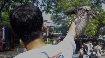 Pengunjung menjajal kemampuan burung dara yang dijual di Pasar Curug, Tangerang, Banten, Sabtu (18/9/2021). [Suara.com/Hilal Rauda Fiqry]