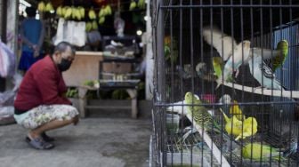 Pengunjung memilih burung di pasar Curug, Tangerang, Banten, Sabtu (18/9/2021). [Suara.com/Hilal Rauda Fiqry]