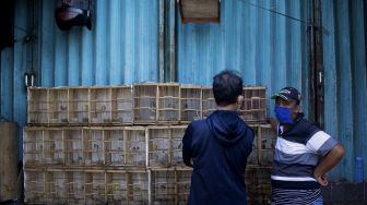 Pengunjung memilih burung di pasar Curug, Tangerang, Banten, Sabtu (18/9/2021). [Suara.com/Hilal Rauda Fiqry]