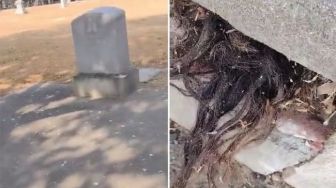 Viral, Ada Rambut Menyembul di Kuburan, Pria Ini Lari Ketakutan