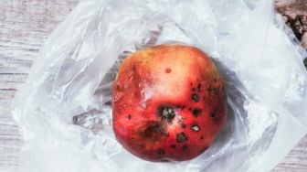 Indonesia Merugi Rp30 Triliun per Tahun dari Makanan Tidak Aman