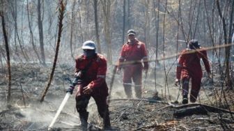 Siak Biang Kerok Banyaknya Titik Api di Riau, Sumbang 6 dari 13 Titik