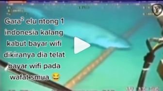 Beredar Video Kabel Telkomsel dan Indihome Digigit Hiu di Dasar Laut, Cek Fakta Sebenarnya