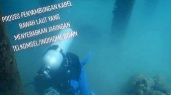 Video Ikan Hiu Gigit Kabel Dalam Laut Beredar, Kabel JaSuKa Telkomsel?