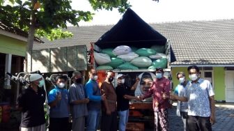 Harga Pakan Melambung, Peternak Gunungkidul Dapat Bantuan 85 Ton Jagung dari Jokowi