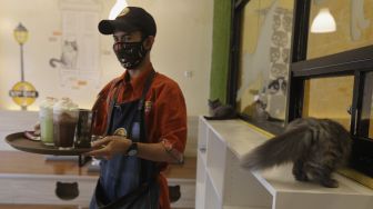 Pelayan membawa pesanan pelanggan di Kopi Cat Cafe, Kemang, Jakarta, Kamis (23/9/2021). [Suara.com/Angga Budhiyanto]