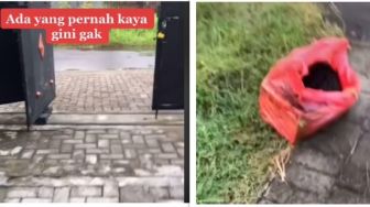 Viral Wanita Pagi-Pagi Dapat Teror Bungkusan Kardus, Isinya Bikin Merinding