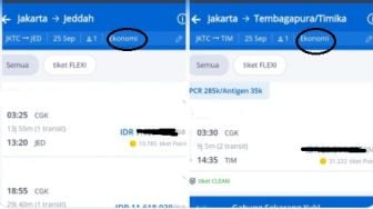 Viral Pria Cek Tiket Pesawat Jakarta-Papua, Auto Marah-Marah