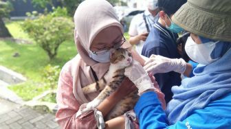 Sumut Masuk 5 Besar Kasus Rabies Tertinggi di Indonesia