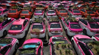 Terdampak Pandemi, Puluhan Armada Taksi Berevolusi Jadi Kebun Sayur Dadakan