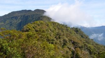 Tempat Wisata di Melawi: Gunung Kelam, Air Terjun Sahai Penahan, Hingga TNBBBR