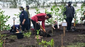 Tanam Mangrove di Bengkalis, Presiden Jokowi Pilih Nyeker