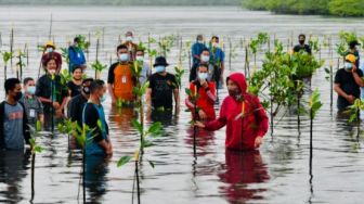 Penampakan Presiden Jokowi Cemplung ke Air Laut Setinggi Pinggang Saat Tanam Mangrove
