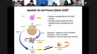 Apa Itu Sel Punca? Berikut Penjelasan Ilmiah Peneliti Biologi Manusia