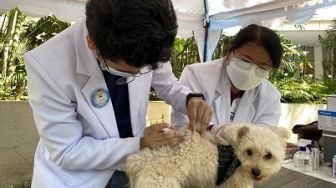 Hari Rabies Sedunia 2021, Ini 7 Fakta Tentang Penyakit Rabies