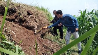 Temuan Baru Struktur Bata Kuno di Mojokerto Diduga Candi Peninggalan Majapahit