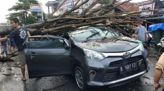 Diguyur Hujan Lebat dan Angin Kencang, Pohon Tumbang Timpa Mobil di Ciputat Tangsel