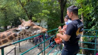 Kebun Binatang Surabaya Bakal Uji Coba Buka Bagi Kunjungan Warga