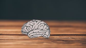 Berpotensi Meningkatkan Memori Otak dan Kemampuan Kognitif, Ilmuwan Australia Teliti Manfaat Selenium