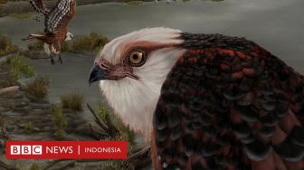 Tulang Belulang Elang Purba Ungkap Cara Predator Bertahan Hidup