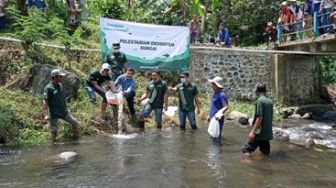 Lestarikan Lingkungan, Greenfields Indonesia Lepas 15 Ribu Ikan ke Sungai