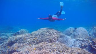 Melihat Keindahan Bawah Laut  Grand Watu Dodol di Banyuwangi