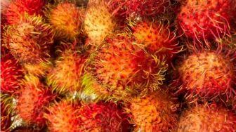 Beredar Video Bule Cantik Cicipi Rambutan dan Kelengkeng, Publik Heran Lihat Cara Makannya