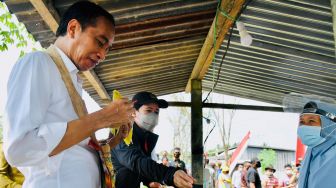 Jokowi Jajan Jagung Rebus Bareng Puan Maharani, Mentan Nyeletuk: Pak Presiden Lapar