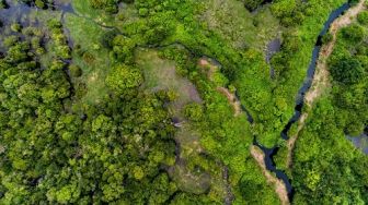 Tanggapi soal Deforestasi, KLHK: Permintaan Greenpeace Tidak Konsisten