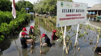 Rentan Jadi Korban Kerusakan Lingkungan Hidup, Anak Muda Perlu Diajak Peduli Mangrove
