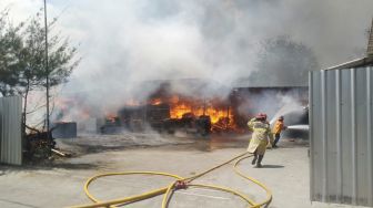 Kebakaran Hebat Melanda Gudang Triplek di Bantul, Kerugian Ditaksir Mencapai Rp6 M